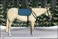 Horse Color:Red Dun Pearl 