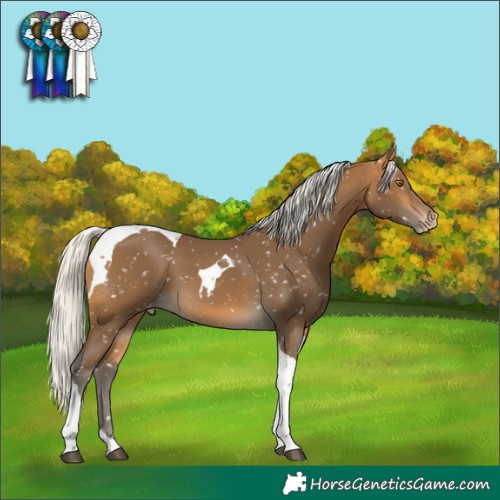 Horse Color:Silver Buckskin Tobiano Snowflake Varnish 