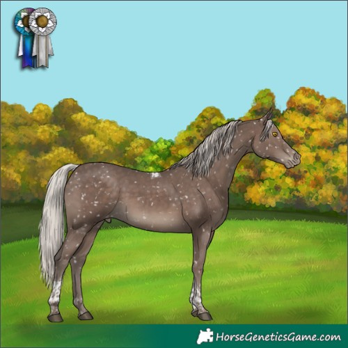 Horse Color:Silver Black Tobiano Snowflake Varnish