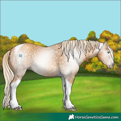 Horse Color:Gray Gold Cream Champagne Tobiano 
