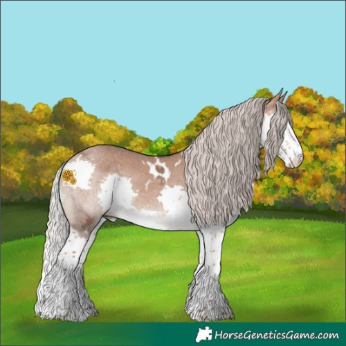 Horse Color:White Spotted Silver Brown Ice Dun Splash Rabicano
