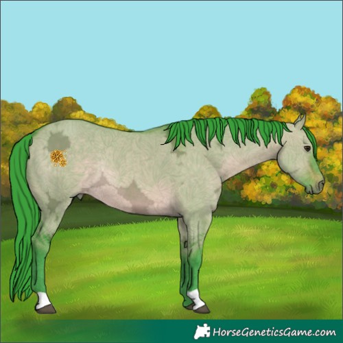Horse Color:Watercolor Brown Ice Dun Rabicano 