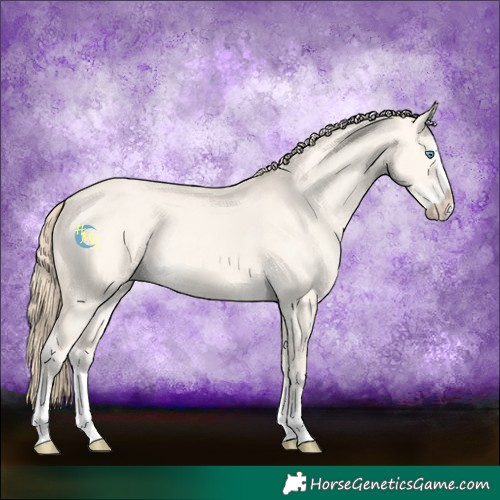 Horse Color:Perlino Dun Splash