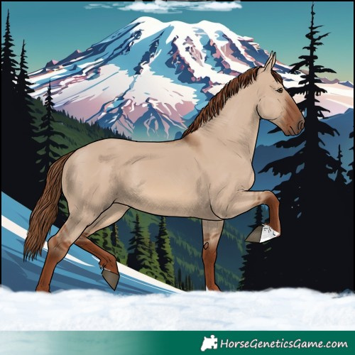 Horse Color:Red Dun 