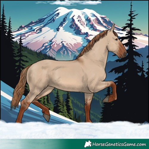 Horse Color:Red Dun 