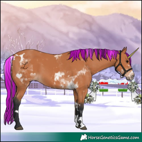 Horse Color:Painted Bay Tobiano 