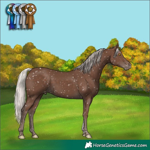 Horse Color:Silver Black Tobiano Snowflake Varnish 