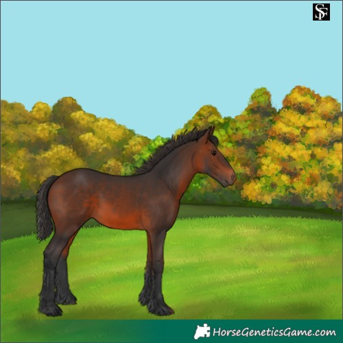 Horse Color:Brown 