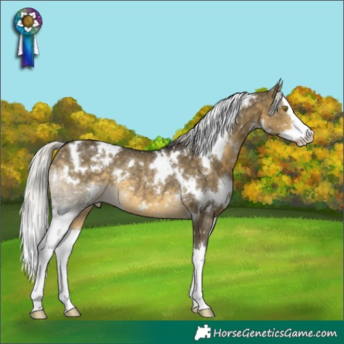 Horse Color:White Spotted Silver Buckskin Dun Splash Snowflake VarnishRabicano