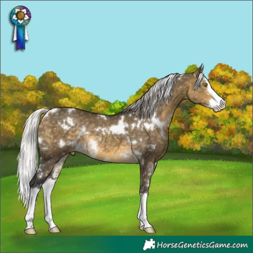 Horse Color:White Spotted Silver Buckskin Dun Splash Snowflake VarnishRabicano
