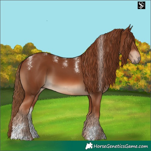 Horse Color:Powder White Chestnut 