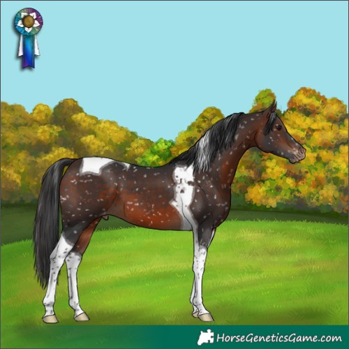 Horse Color:Brown Tobiano Snowflake Varnish