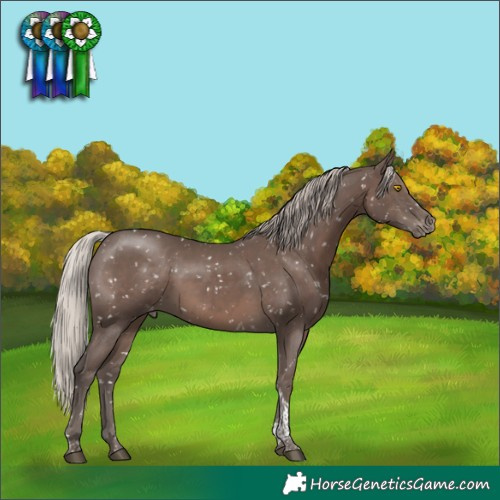 Horse Color:Silver Black Tobiano Snowflake Varnish