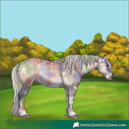 Horse Color:Nacre Plaid White Spotted Silver Brown Onyx