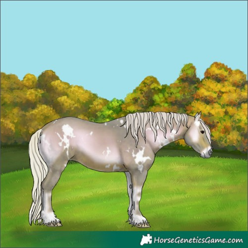 Horse Color:Watercolor White Spotted Silver Brown Onyx 