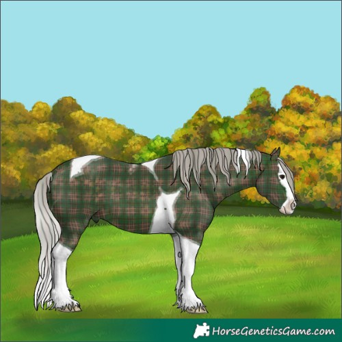 Horse Color:Plaid Silver Bay Splash Tobiano