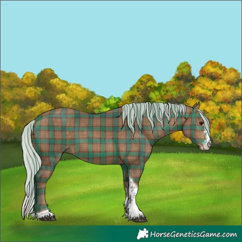 Horse Color:Plaid Silver Brown Sabino Tobiano