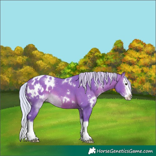 Horse Color:Watercolor White Spotted Silver Bay Splash Blanket 
