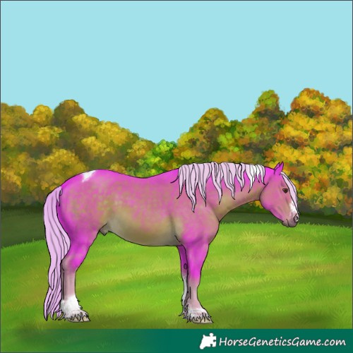 Horse Color:Watercolor Chocolate Palomino Tobiano Frame