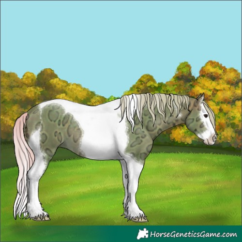 Horse Color:Watercolor Silver Brown Ice Splash Tobiano 
