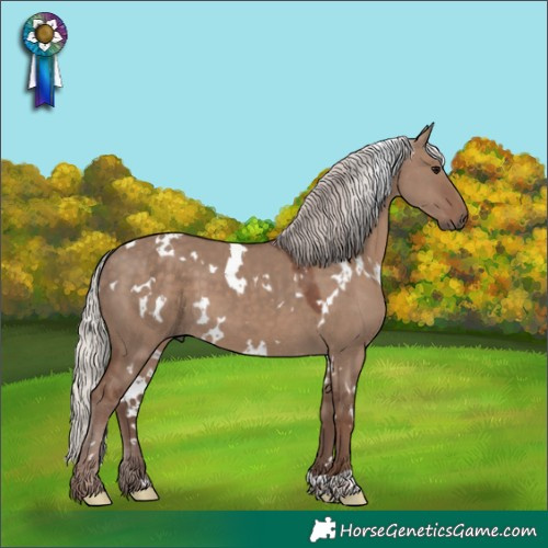 Horse Color:White Spotted Silver Grullo