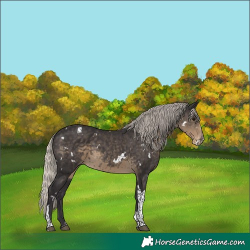 Horse Color:White Spotted Silver Smoky Black Tobiano Varnish 