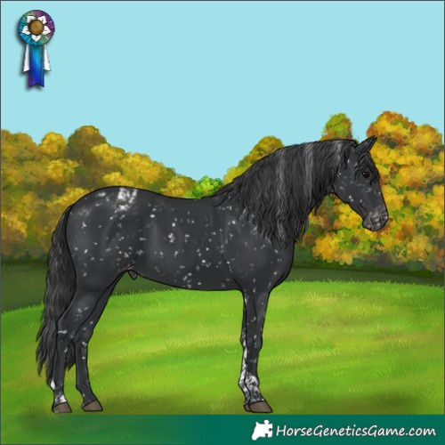 Horse Color:Black Tobiano Snowflake Varnish