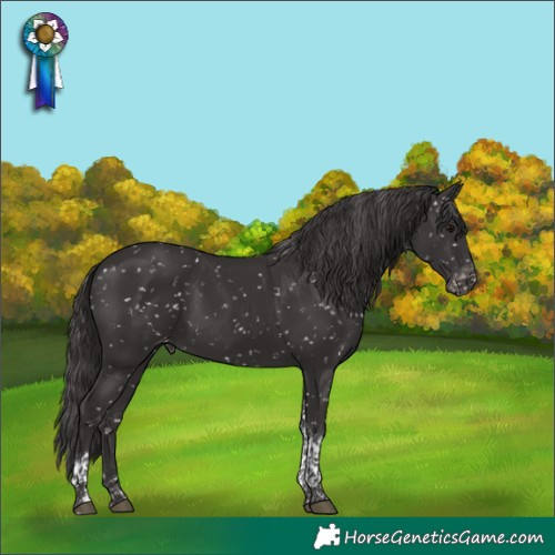 Horse Color:Smoky Black Tobiano Snowflake Varnish