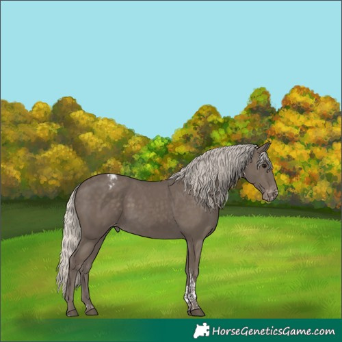 Horse Color:Silver Smoky Black Tobiano Varnish
