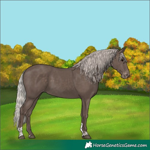 Horse Color:Silver Black Tobiano Varnish