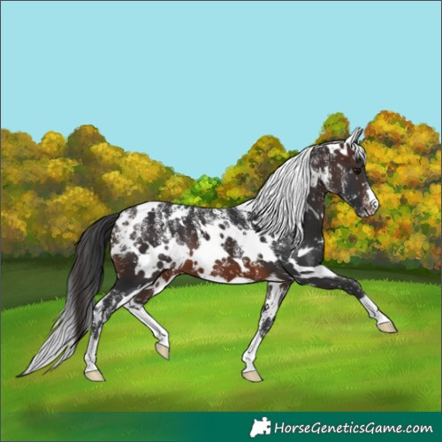 Horse Color:Powder White White Spotted Brown Snowflake Varnish