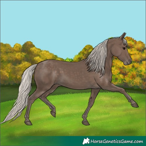 Horse Color:Silver Black 