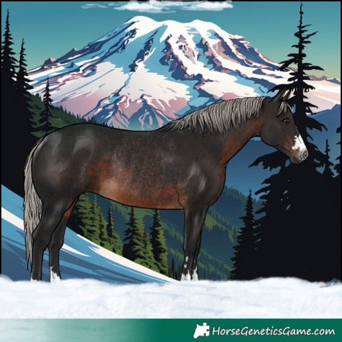 Horse Color:Gray Silver Brown Rabicano