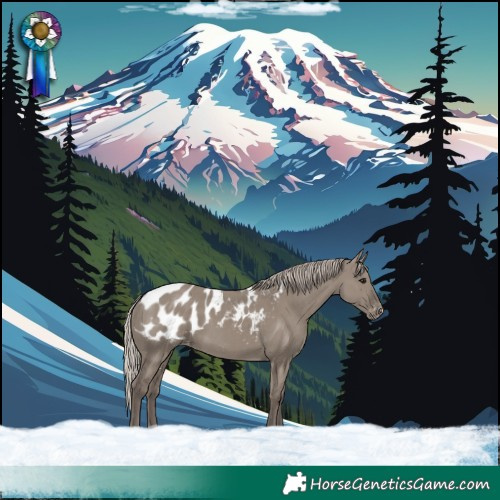 Horse Color:Silver Grullo Blanket