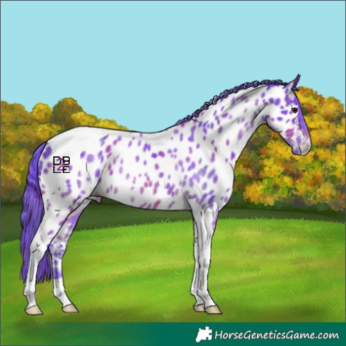 Horse Color:Nacre Watercolor Bay Tobiano Near Leopard 