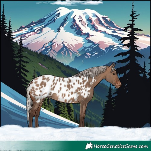Horse Color:Silver Brown Dun Near Leopard