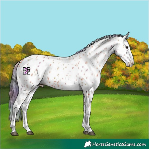 Horse Color:Nacre Bay Tobiano Leopard