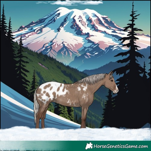 Horse Color:Silver Grullo Splash Blanket