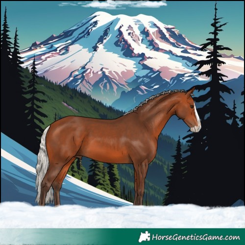 Horse Color:Silver Bay Splash