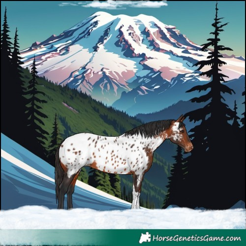 Horse Color:Bay Tobiano Near Leopard Rabicano