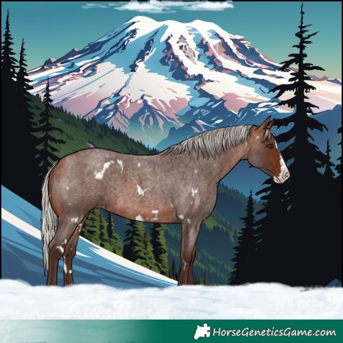 Horse Color:White Spotted Silver Brown Roan Splash