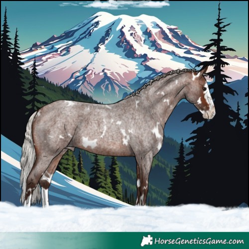 Horse Color:White Spotted Silver Brown Roan Splash Varnish