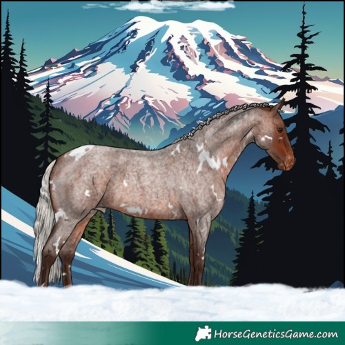 Horse Color:White Spotted Silver Brown Roan Varnish