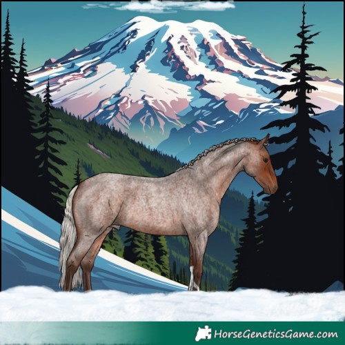 Horse Color:Silver Brown Roan Tobiano