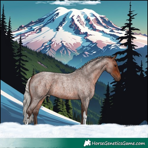 Horse Color:Silver Brown Roan Tobiano