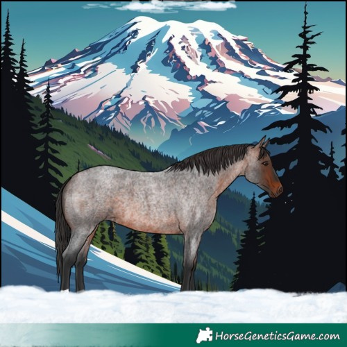 Horse Color:Brown Roan 