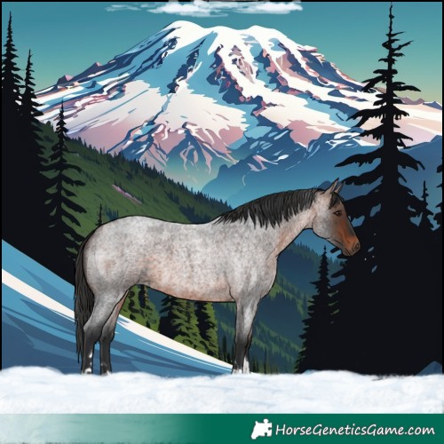 Horse Color:Brown Roan Tobiano