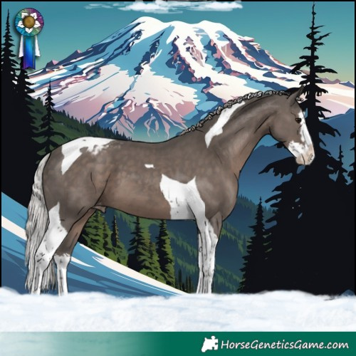 Horse Color:Silver Black Splash Tobiano Varnish