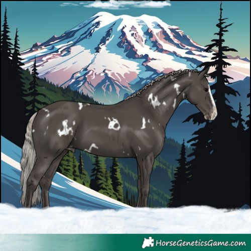 Horse Color:White Spotted Silver Black Splash Skewed LP Spotted 