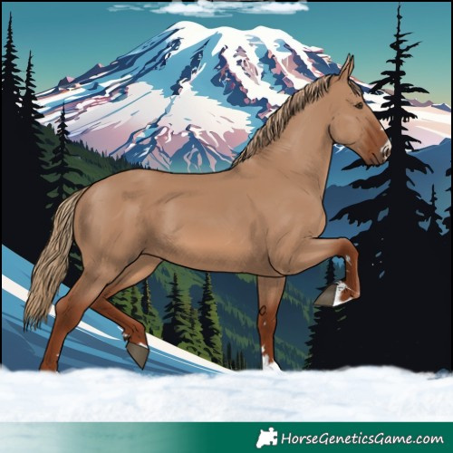 Horse Color:Red Dun 